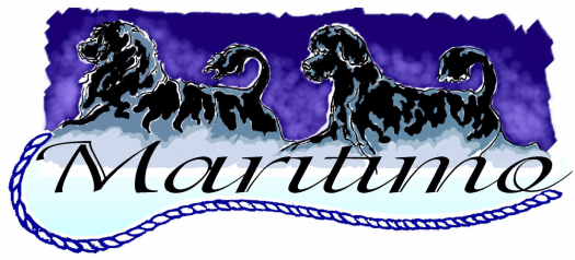 Maritimo Portuguese Water Dogs- We are a PWDCA approved Portuguese Water Dod puppy breeder located in Ohio.